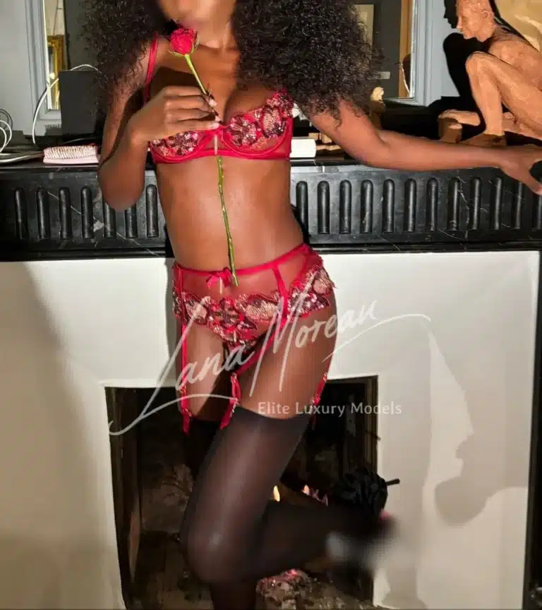 Seductive high-class escort Paris