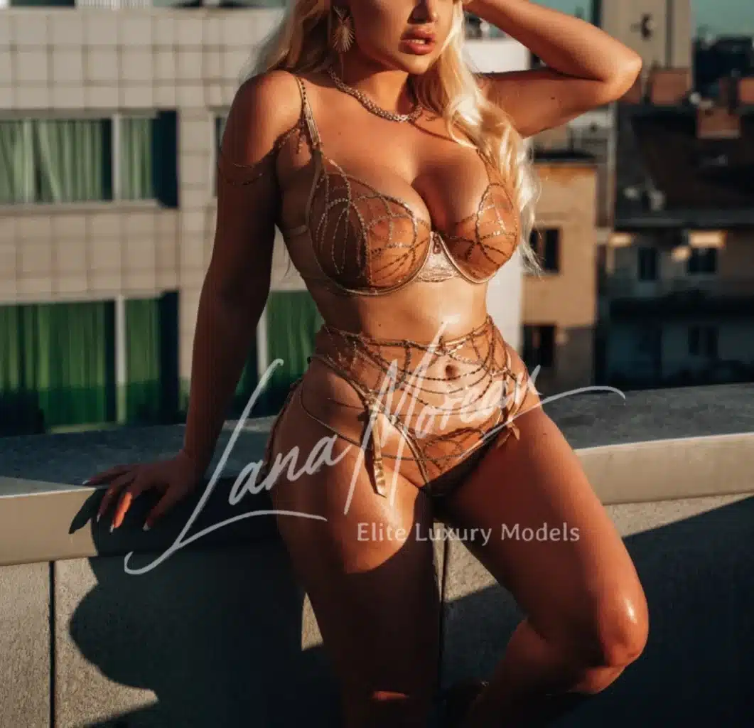 Top Tier High Class Escort Vienna