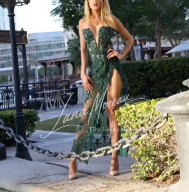 VIP escort in a noble evening dress