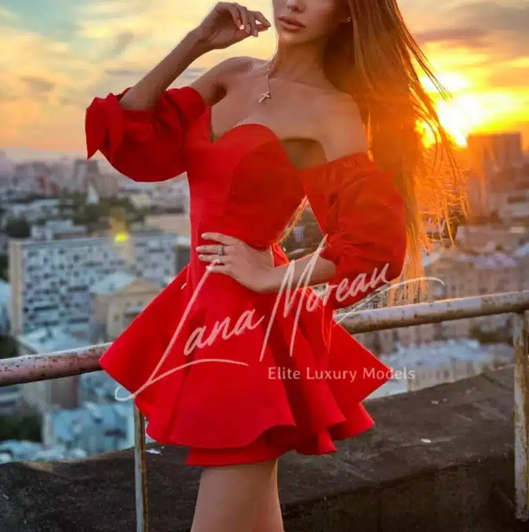 VIP Escort Vienna Sunset View