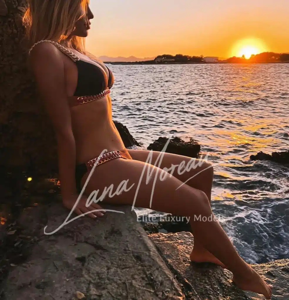 Sophisticated Monaco Companion