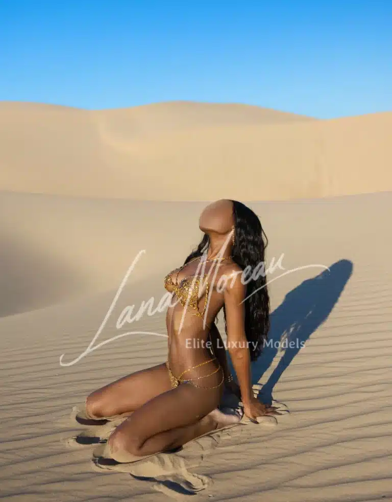 Golden bikini in desert sunset